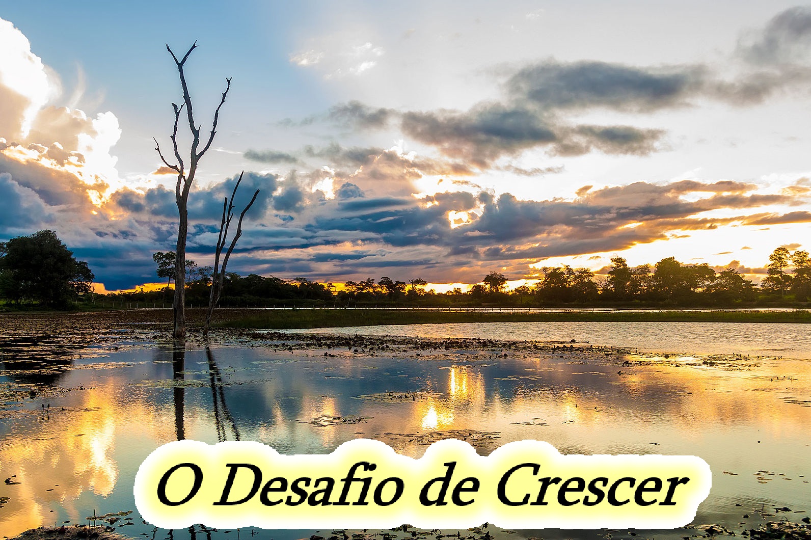 O desafio de Crescer