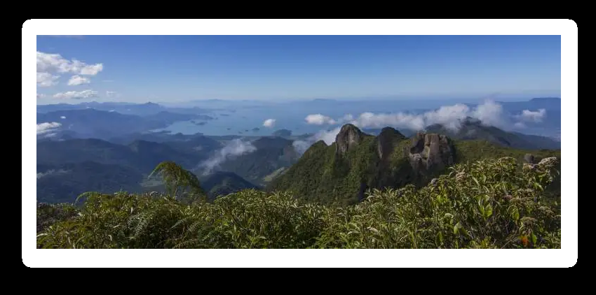 No momento, você está visualizando IRRF L – Pensamentos e princípios